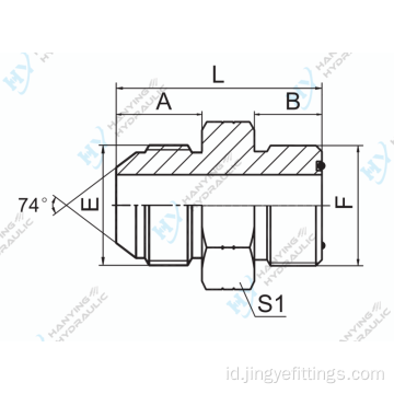 Jic jic 74 cone/orfs jantan